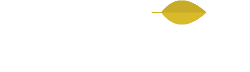 SVF Inversiones - Inicio